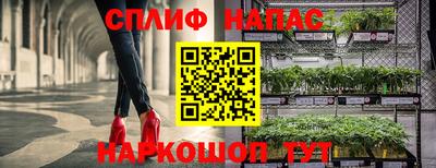 стафф Боровичи