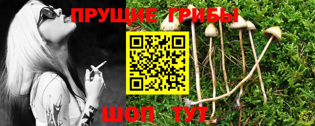 Псилоцибиновые грибы Cubensis Изобильный